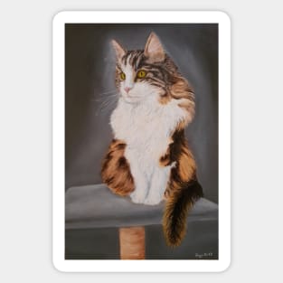 Posing cat Sticker